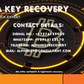 ALPHA KEY RECOVERY HACKER 