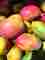 Productive uses to save mango peel – Gastronomy – WebMediums