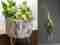 ¿Cómo decorar salas con plantas? – Hogar y Decoración  – WebMediums
