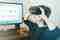 Virtual reality glasses buying guide – Technology – WebMediums