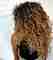 Tendencias de color para cabello rizado 2022 – Belleza – WebMediums
