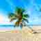Las mejores playas de Cancún para unas vacaciones de verano – Viajar