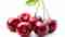 Cherries: Properties and calories of this fruit – Wellness and Health