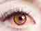 Blinding Sensuality: The False Eyelash Problems – Beauty – WebMediums