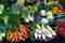Coliflor verde – Bienestar y Salud – WebMediums
