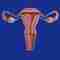 Embarazo con endometritis – Mamas y Bebés – WebMediums