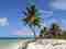Viajes a Punta Cana – Viajar – WebMediums